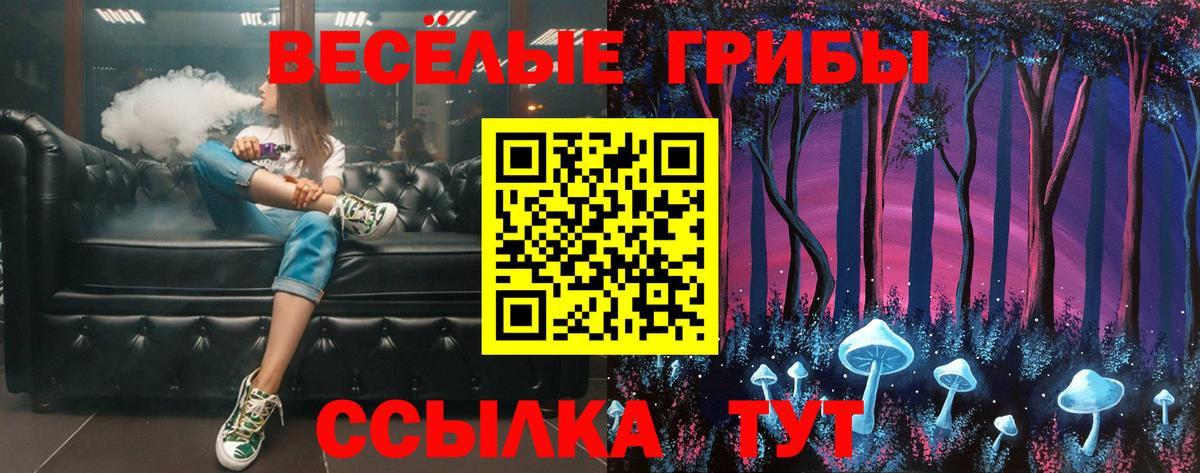 Псилоцибиновые грибы прущие грибы  Вход с VPN  Урюпинск 